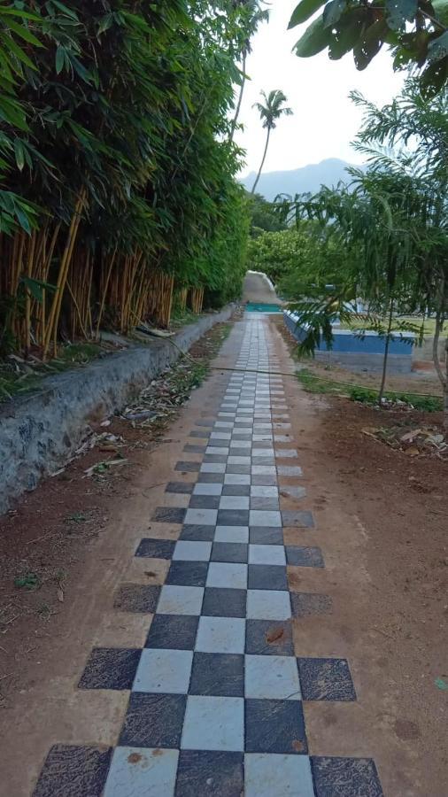 Serene Blossom Valley Tenkasi Bagian luar foto