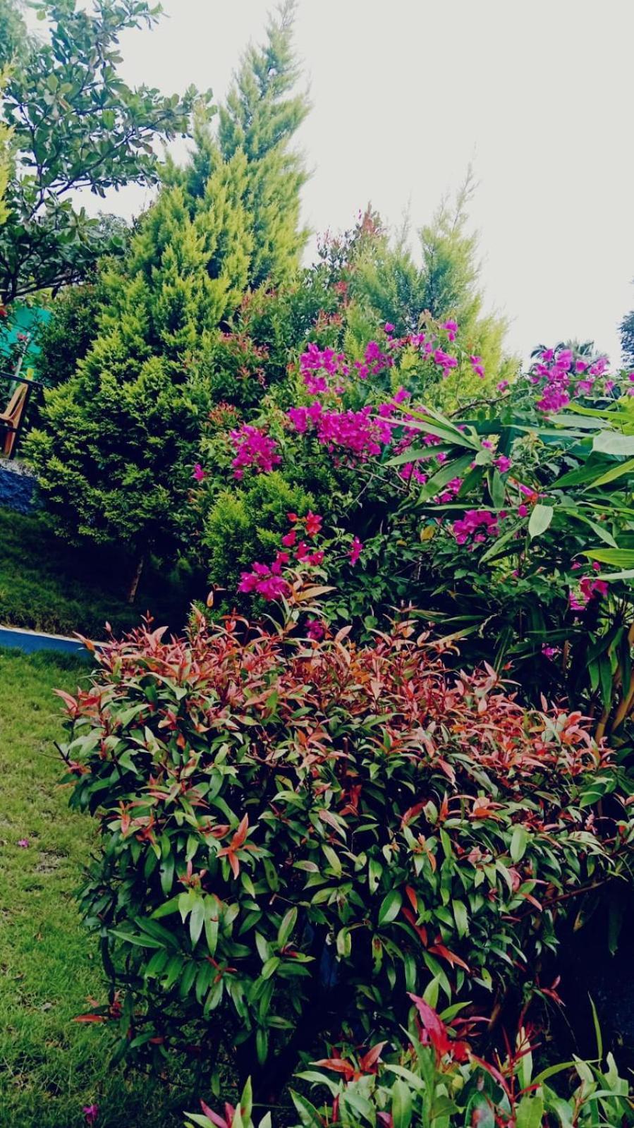 Serene Blossom Valley Tenkasi Bagian luar foto